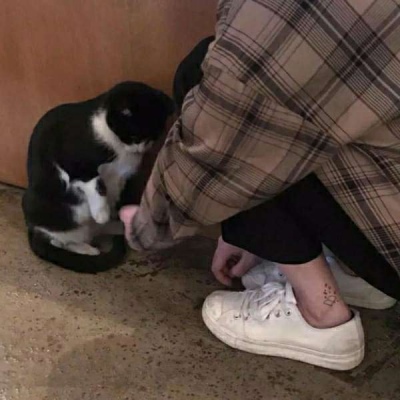 欧交易所官网入口-稳定资产交易环境与世界同步交易