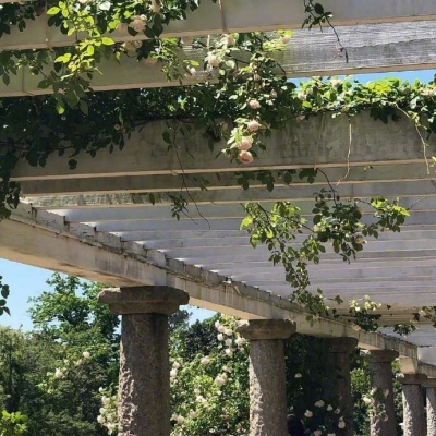 欧交易所app最新版-拒绝第三方风险NFT资产拍卖平台