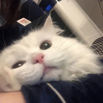 欧一交易所-资产状况一目了然搭建传统与加密市场桥梁