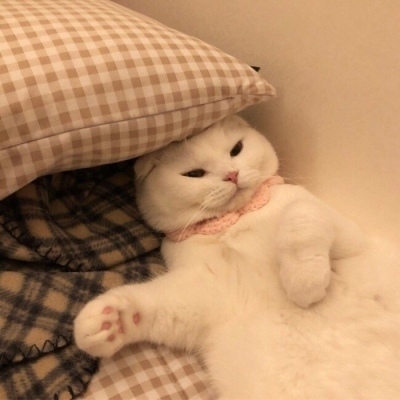 bit下载-注册使用更便捷兼容手机与平板设备